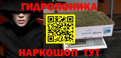 шишки Азнакаево