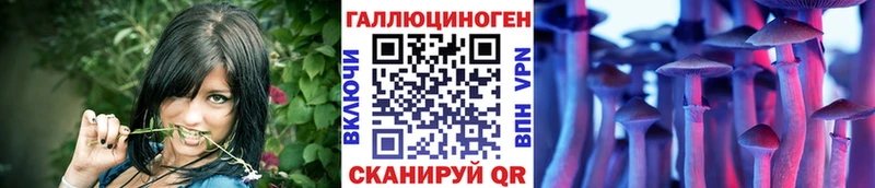 Галлюциногенные грибы мицелий  Медногорск 