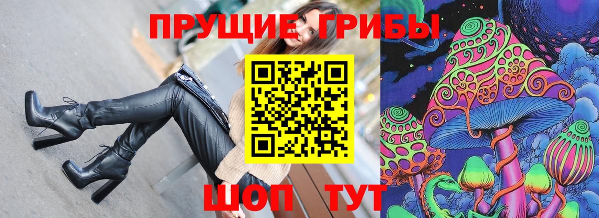 Медногорск  Галлюциногенные грибы Cubensis  цены   Вход с VPN 