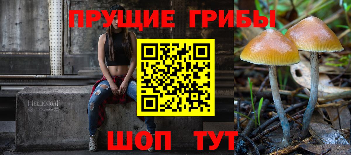 Псилоцибиновые грибы Psilocybe Медногорск