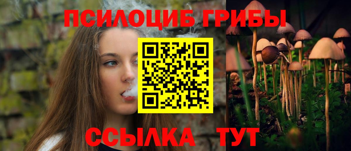 цены наркотик  Медногорск  Псилоцибиновые грибы прущие грибы  Псилоцибиновые грибы Magic Shrooms 