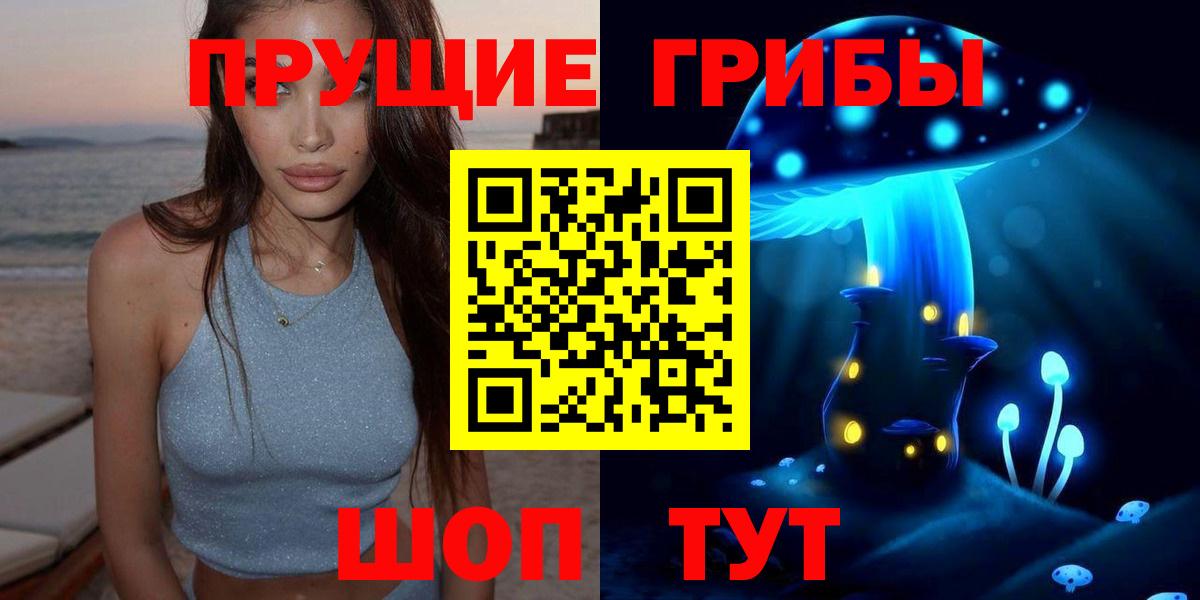 Псилоцибиновые грибы GOLDEN TEACHER Медногорск