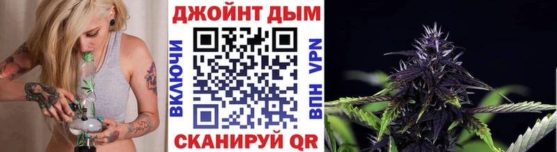 где можно купить наркотик  Медногорск  Канабис ГИДРОПОН 