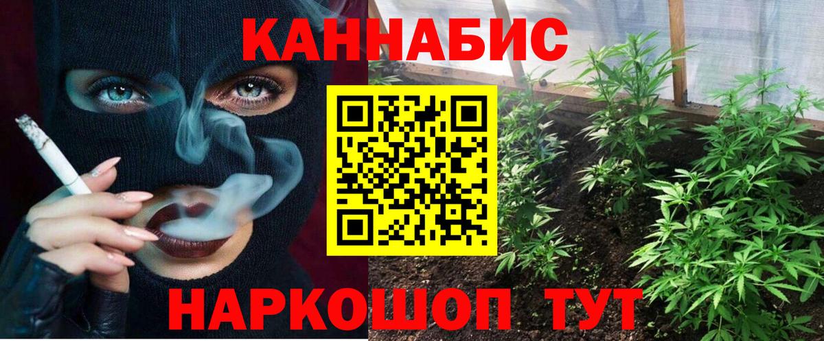 Шишки марихуана марихуана  МАРИХУАНА план  Медногорск  Шишки марихуана VHQ  Вход с VPN  Каннабис семена 